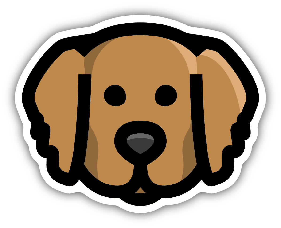 Golden Retriever Face