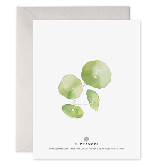 Pancake Plant Pilea Plant | Thank You Greeting Card: 4.25 X 5.5 INCHES