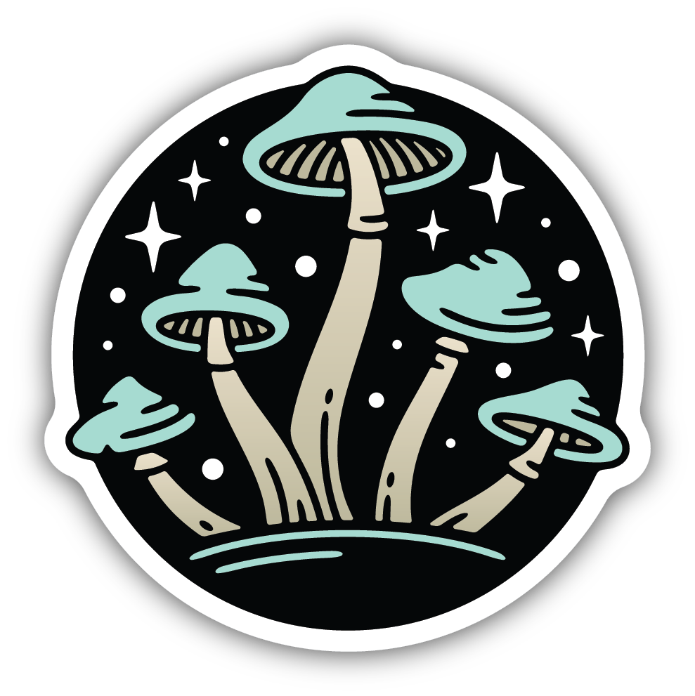 Nighttime Mushrooms