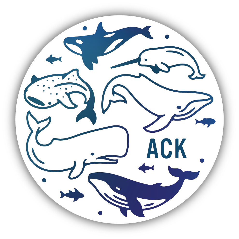 Whale Circle - ACK - Nantucket