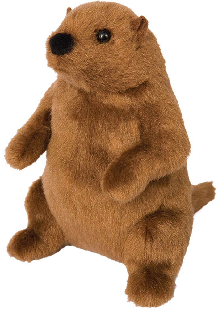 Mr. G. Groundhog