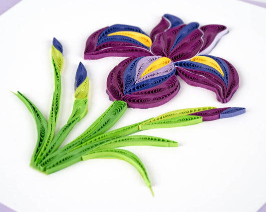 Quilled Iris Greeting Card