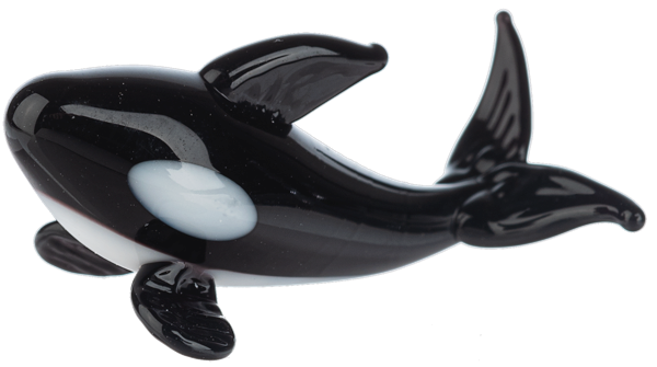 ORCA WHALE GLASS