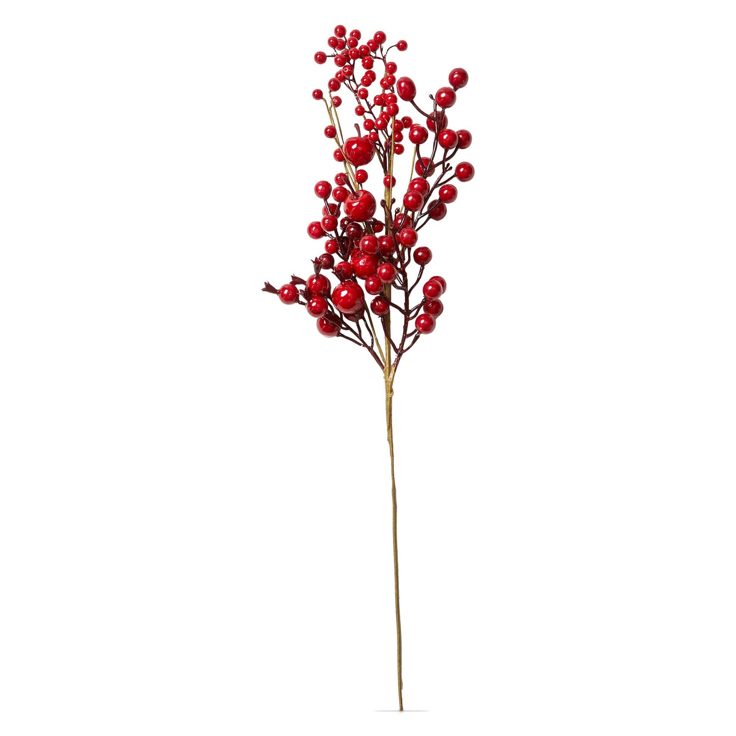 Red Berry Stem