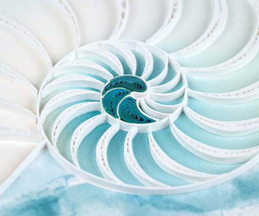 Abstract Nautilus Quilled Greeting Card