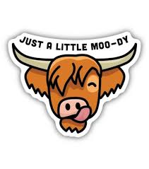 Highland Cow