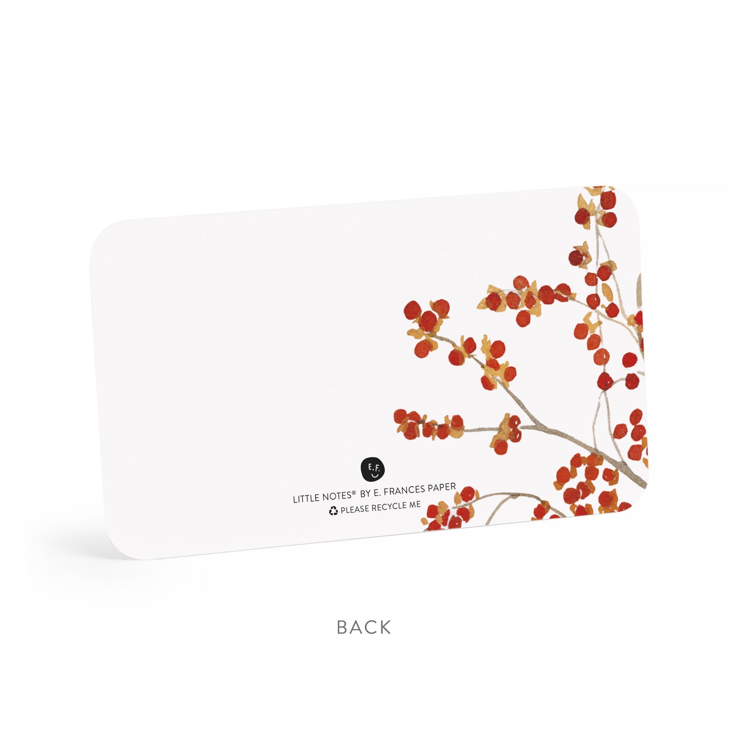 Autumn Berry Pitcher Little Notes® | Fall Mini Notecards