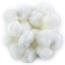 White Pom Poms 2" 20 Piece