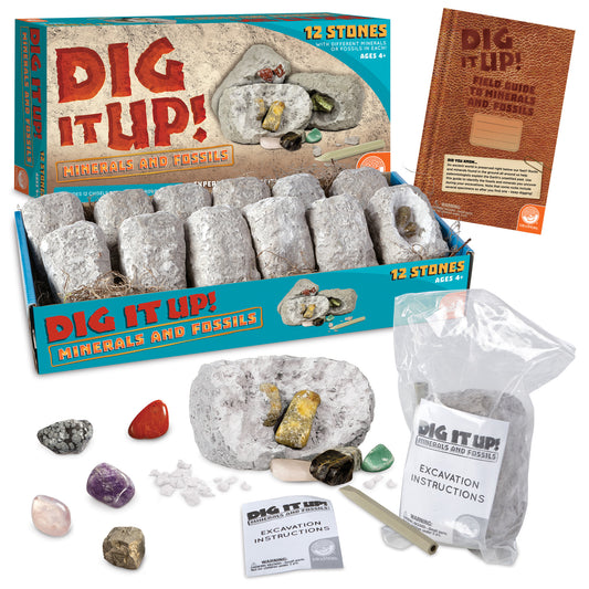 Dig it up!: Minerals and Fossils