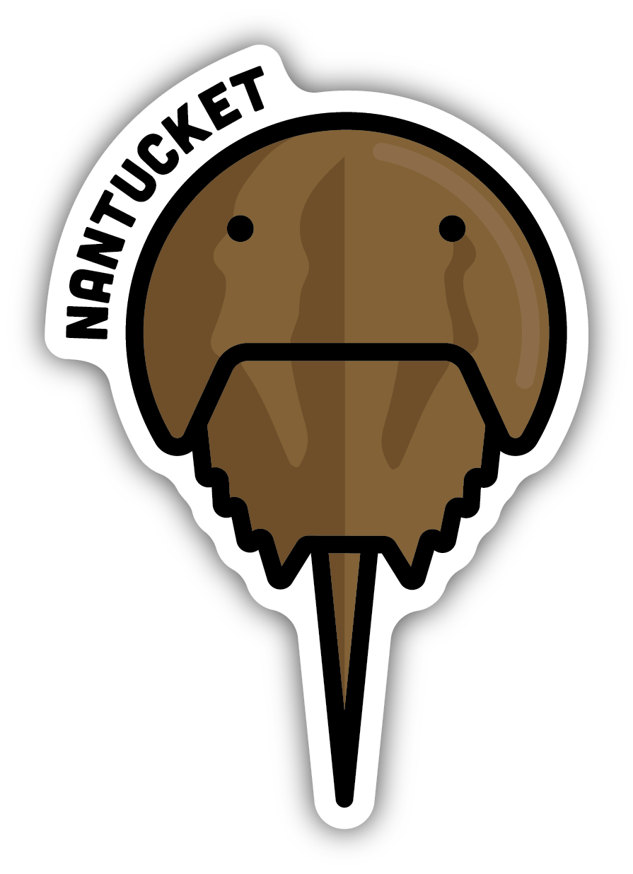 Horseshoe Crab - Nantucket