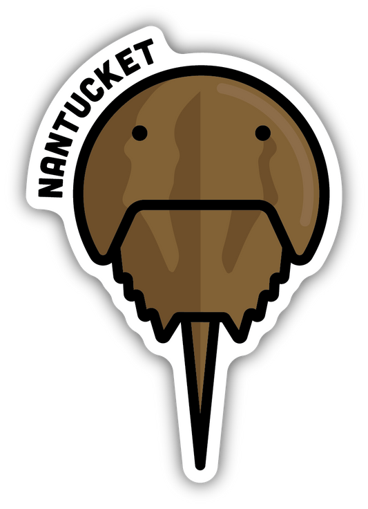 Horseshoe Crab - Nantucket