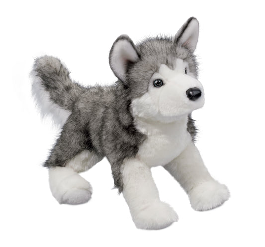 Lobo Husky, Large