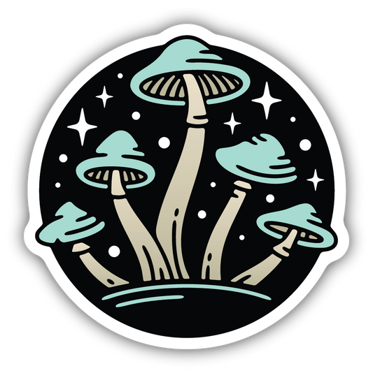 Nighttime Mushrooms
