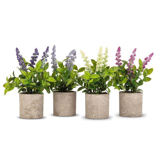 Spiky Flowering Plant Pot