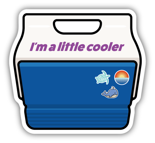 Retro Cooler