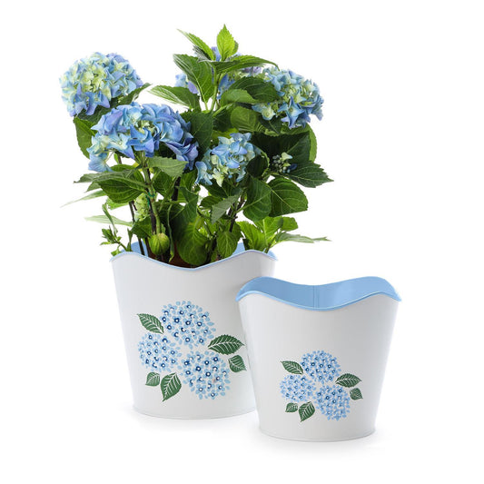 Hydrangea Blue Flower Cachepots
