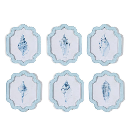 Shell Wall Art