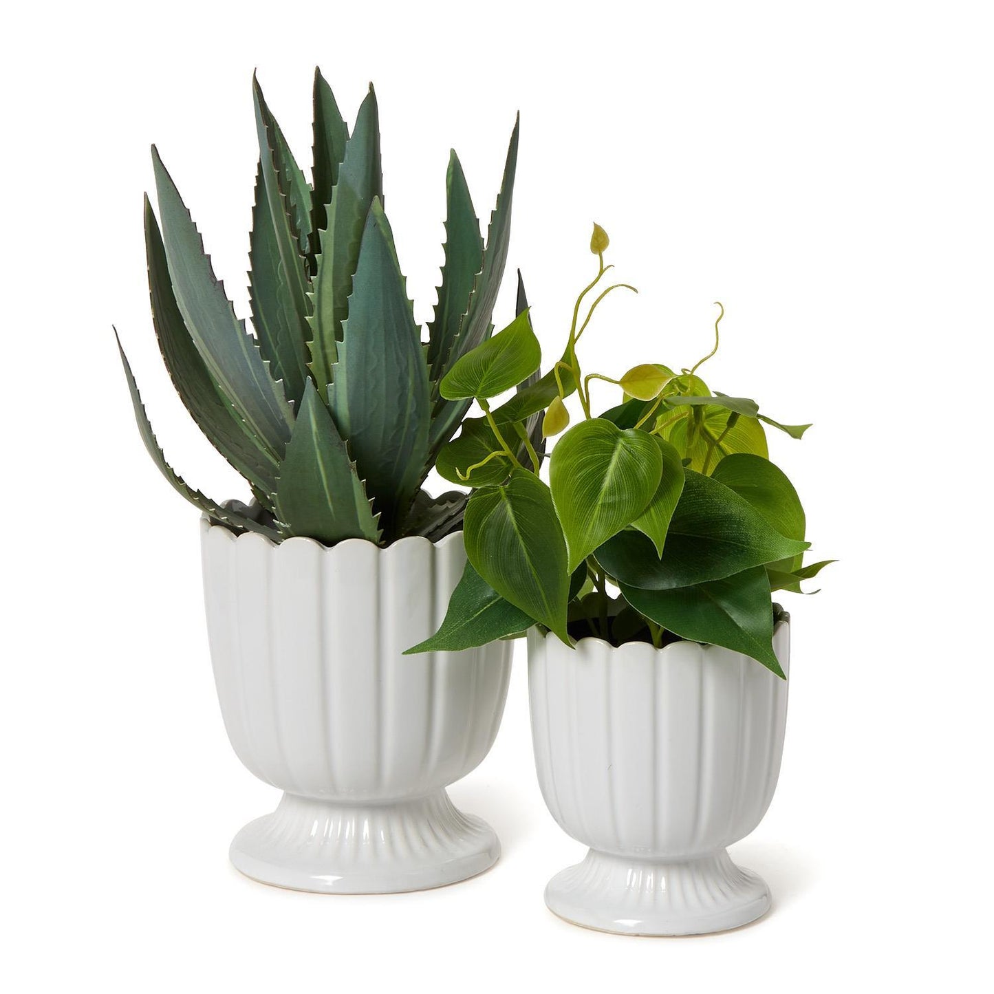 Scalloped Edge Planter