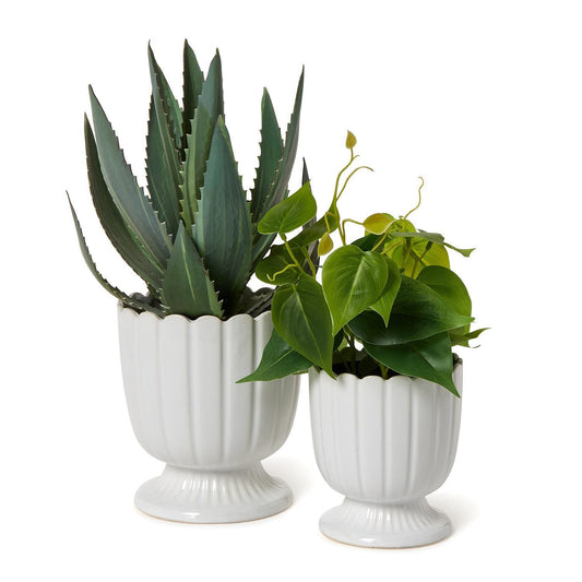 Scalloped Edge Planter