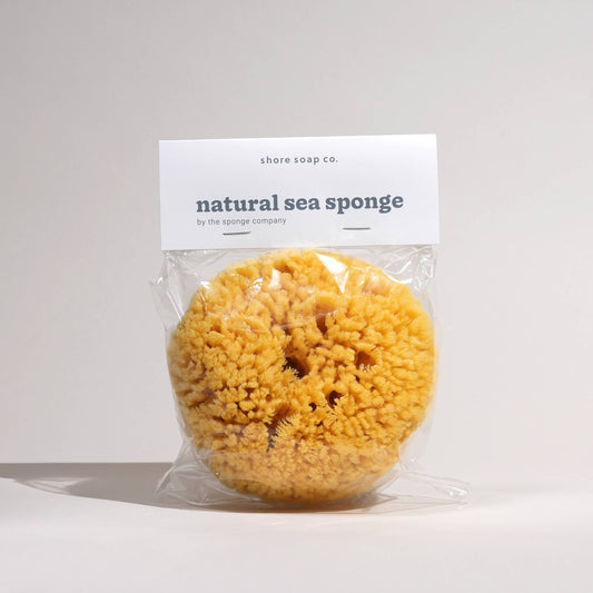 Natural Sea Sponge (5")