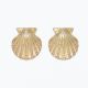 Gold Scallops w Pearl detail Earrings