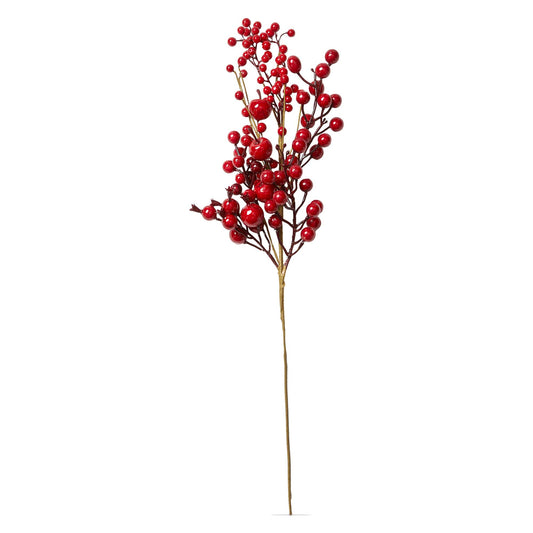 Red Berry Stem