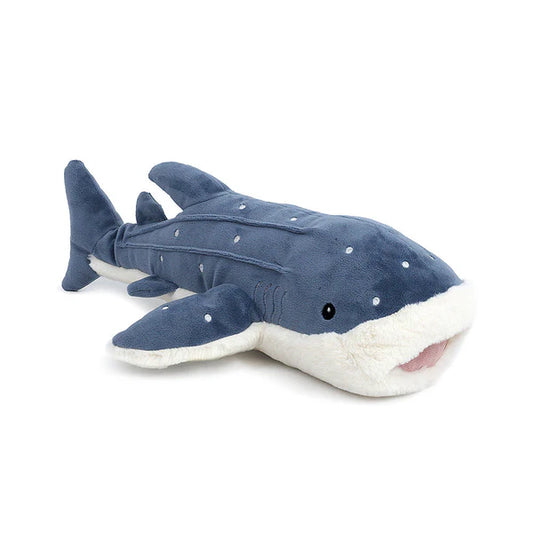 Echo The Whale