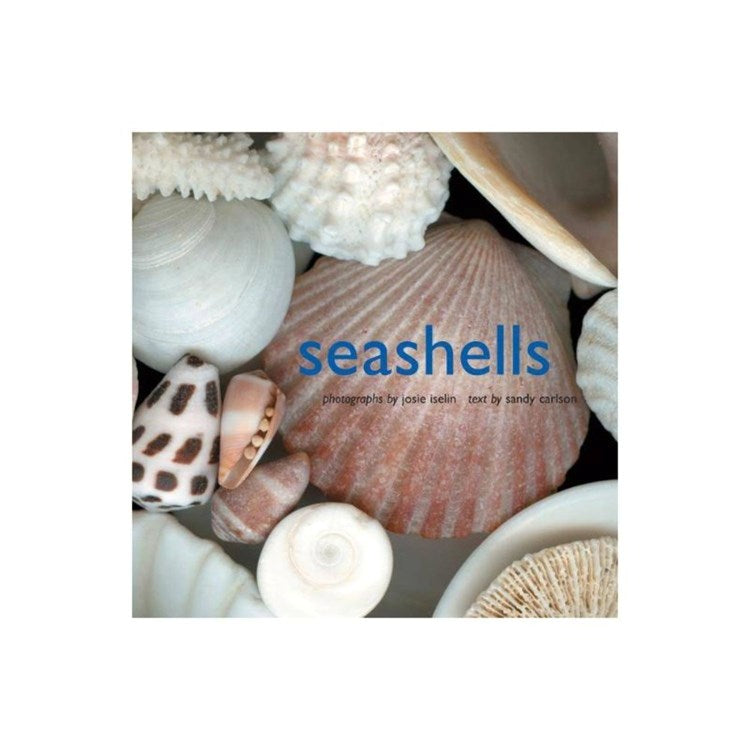 Seashells