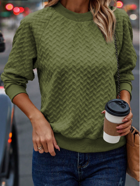 Solid Textured Raglan Sleeve Pullover Sweatshirt