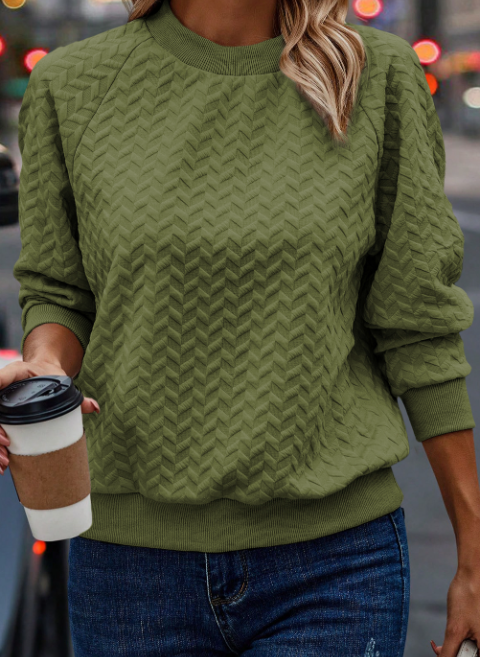 Solid Textured Raglan Sleeve Pullover Sweatshirt