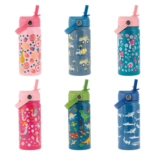 INSULATED STAINLESS STEEL BOTTLE ASSORTMENT (F24)